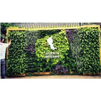 室外道路景观绿化 立体垂直绿化造型墙体 植物墙