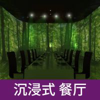 人ζý廥ȫϢ3DȫϢͶӰʽưKTV0305