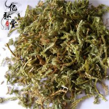 中药材伸筋草/立筋草/舒筋草/铺筋草/抽筋草/分筋草/过筋草 品质可靠