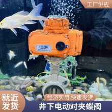 ɭ  ũùȷˮIP68綯 ԰̻ϵͳ DN90/6