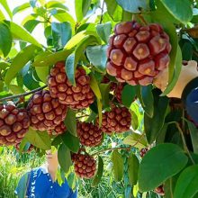 ���ϻ�������ˮ��������Ʒ�����ļ���������Ե�����