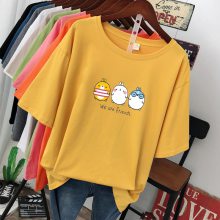 2万元服装创业项目韩版纯棉大码短袖t恤新款韩版宽松女士上衣我想摆地摊怎么找货源