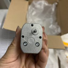 Ӧ¹BUhler Motor  Gear Motor 29 flat