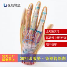 3Dӡģ ɶ3Dӡ ҽƽģ