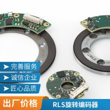 雷尼绍光栅尺VIONIC增量式光栅DSi用于双读数头圆光栅系统可直线