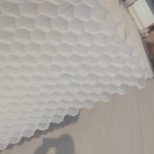 Դֻбܱ׼۱ϩǷбϹӦȴ