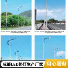 四川LED路灯批发厂家 LED小金豆路灯头农村小区庭院工厂广场道路灯
