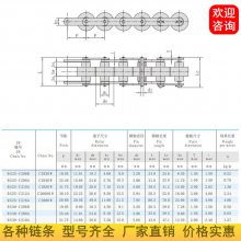 差速链厂家C2080W50.8节距倍速盖板链热销
