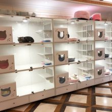 实木猫别墅笼猫咪展示笼猫窝猫屋猫产房寄养笼排风柜笼玻璃宠物笼