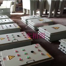 BXK51系列防爆控制箱 订做防爆配电箱 户外防雨配电箱