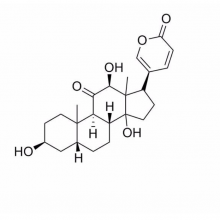 αɳ󸶾 Pseudobufarenogin 17008-69-4