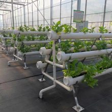 温室大棚育苗种植设备无土栽培工具A字架连花盆生产