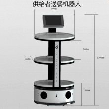 南京硅智机器人有限公司