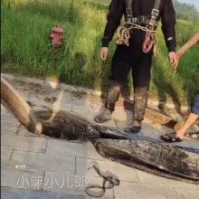 梧州周边污水厂水下曝气管件更换-天涯共此时。---浪淘沙水工