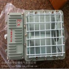 防爆泛光灯BAT53-L250B 附金卤灯泡1*250W-220V 网站防爆泛光灯厂家