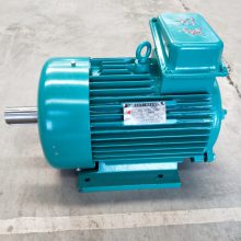 е첽綯 YZR112M-6-1.5KW綯
