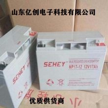 SEHEYNPG200-1212V200AHӦϵͳ 