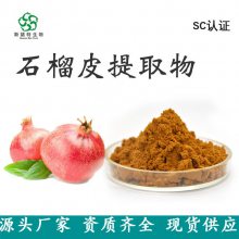 石榴皮提取物 斯诺特多规格 食品级原料粉 一公斤起订发货