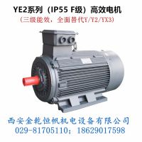 西玛电机 YE2-80M2-2 380V 1.1KW (IP55)