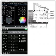 ʱɫNH300