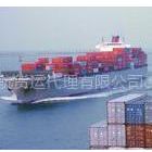 东营到广州海运价格,集装箱海运运输,内贸海运公司