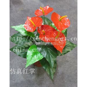 ӦϷ513Ҷơ滨
