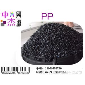 Ӧֻ PP PPɫ PP ȶ 