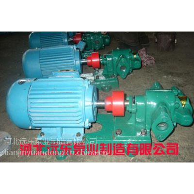 供应胶水输送泵远东BYDKCB-200齿轮油泵