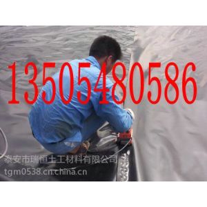 ӦຣʡĤǮһƽ̩Ĥ޹˾13505480586