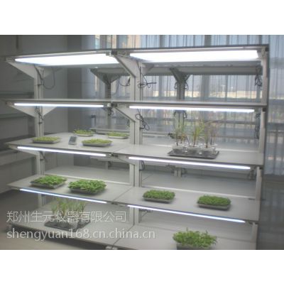 供应河南人工气候室厂家,植物人工气候室,阳光型人工气候室