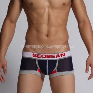 ӦʿԸɴƽڿ ƷSEOBEAN/ϣڿ ڿ
