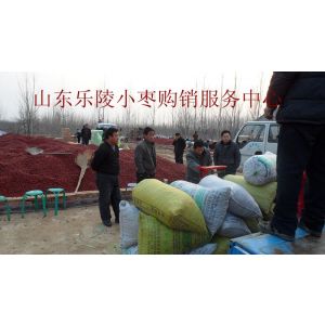 优质乐陵金丝小枣供应价格