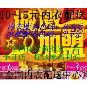 供应十元地摊内衣批发 十五元地摊内衣批发 纯丝美***内衣销售