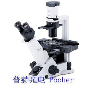供应OLYMPUS 奥林巴斯倒置显微镜CKX31-A12PHP