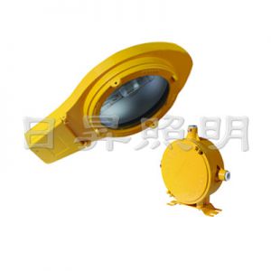 供应BLC8610防爆道路灯,250W/400W道路照明灯