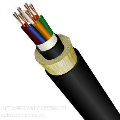 ADSS-12B1-100-PE全介质自承式架空光缆 厂家直销 非金属架空光缆 电力线路