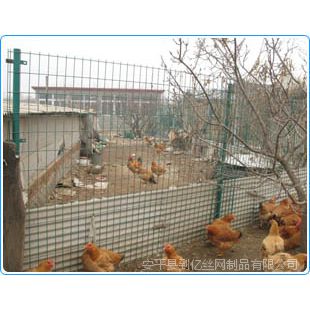 供应散养鸡网围栏价格/养殖用围网/养殖网(厂)
