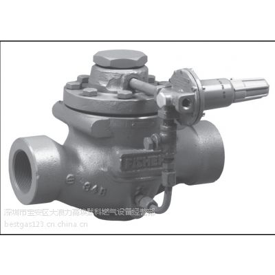 FISHERҵѹ 63EG-98HMѹ