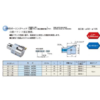 供应日本大昭和精镗头EWN20-36CKB1