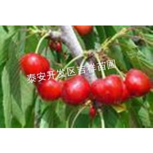 Ӧ̩4ӣ&5ִֵӣ&6ֵĴӣ۸&ӣ
