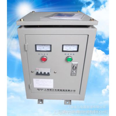 供应上海瑞云TSGC2-20KVA接触式调压器