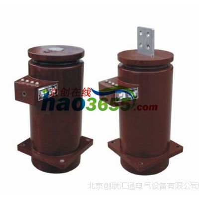 LZJ8-10Q环氧树脂浇注全封闭电流互感器(50Hz/60Hz/10kV)