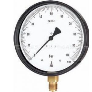 Ӧ¹AB MT 2101 ѹ ׼ѹStandard pressure gauges