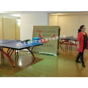 供应红双喜乒乓球台天门销售信息/双鱼乒乓球台厂家3包3折销售