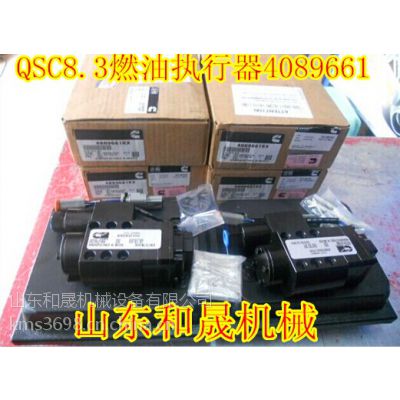 QSC8.3ȼִ4089661칤װػLW600K