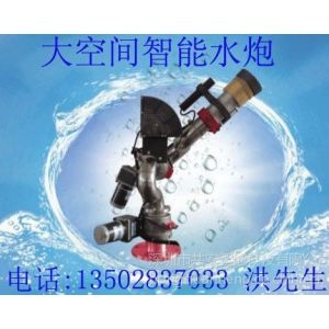 ӦZDMS0.8/30S-A-YAԶ߿ˮ