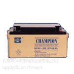 ӦNP200-1212V-200AHֻ