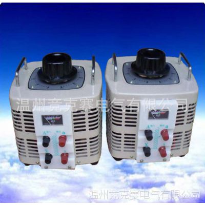 现货供应TDGC2-3KVA 新型接触式交流调压器 优质产品