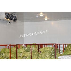供应水果保鲜冷藏冷库设计-大型苹果气调冷库安装厂家-猕猴桃保鲜库建造报价