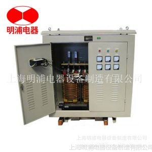 Ӧ SG-42KVA ʽѹ 380Vת220Vѹֻ